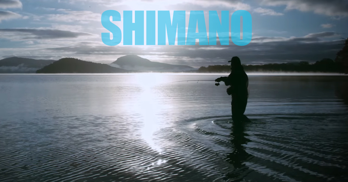 1736335181655020.jpg 01.jpg